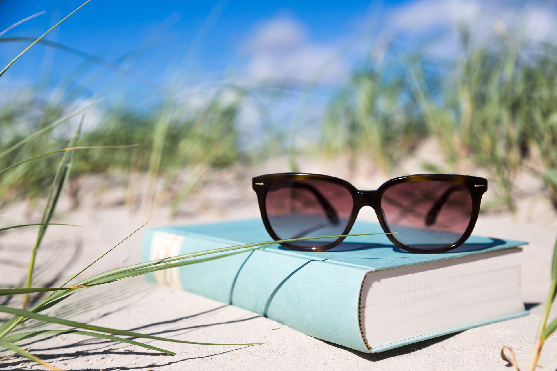 Summer Book Sales Point Up Overall | CCC's Beyond the Book